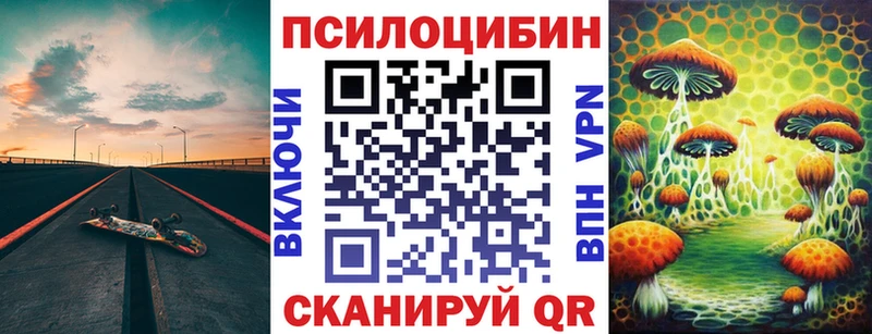 Псилоцибиновые грибы Psilocybe Асбест