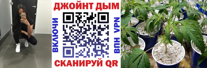 Марихуана SATIVA & INDICA Асбест